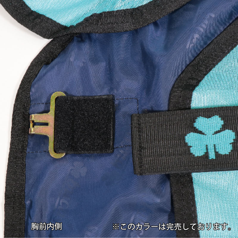 Bucas�ʥӥ塼�����˥ե꡼����ե饤������