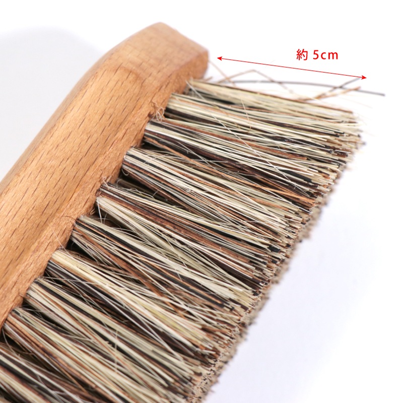 Penelopeʥڥͥڡ ƥե硼ȥإ ǥ֥饷