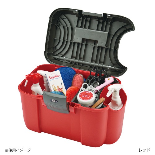 169 ���롼�ߥ󥰥ܥå���