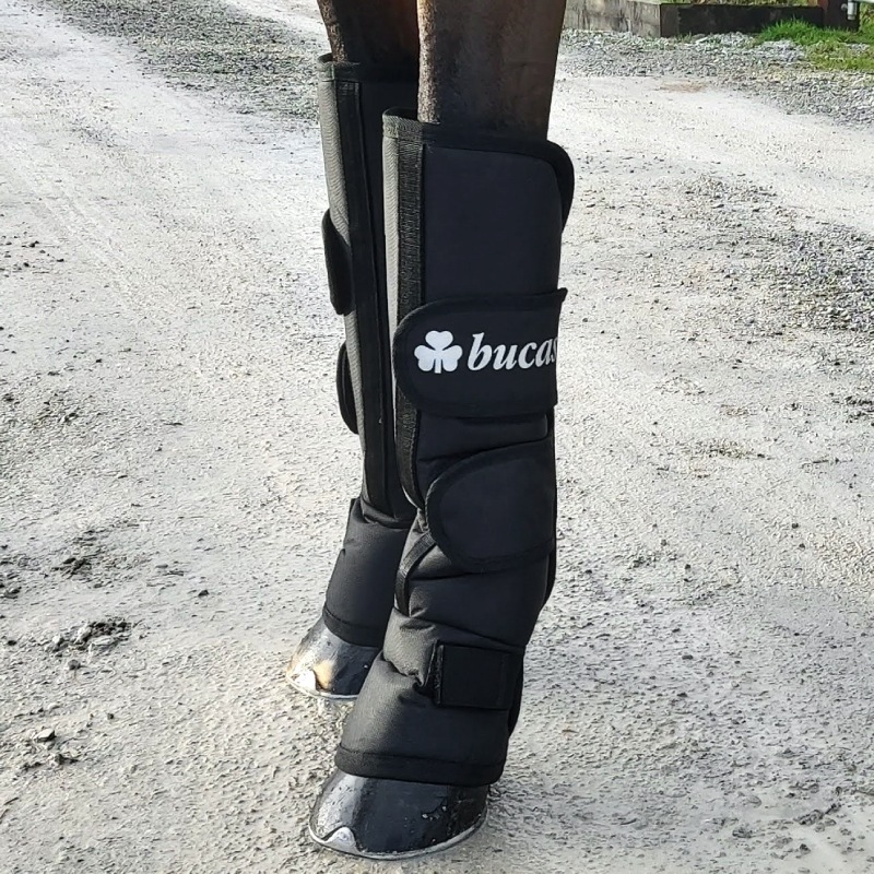 Bucas�ʥӥ塼������ �ȥ�٥�֡��� 2