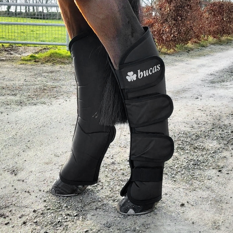 Bucas�ʥӥ塼������ �ȥ�٥�֡��� 2