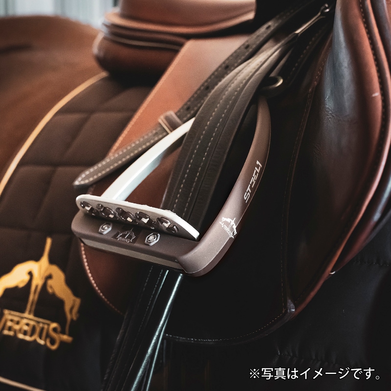 VEREDUS�ʥ٥������ ������ ƪ