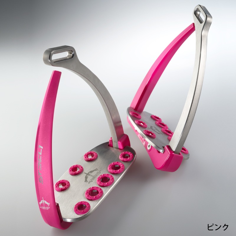 VEREDUS�ʥ٥������ ������ ƪ