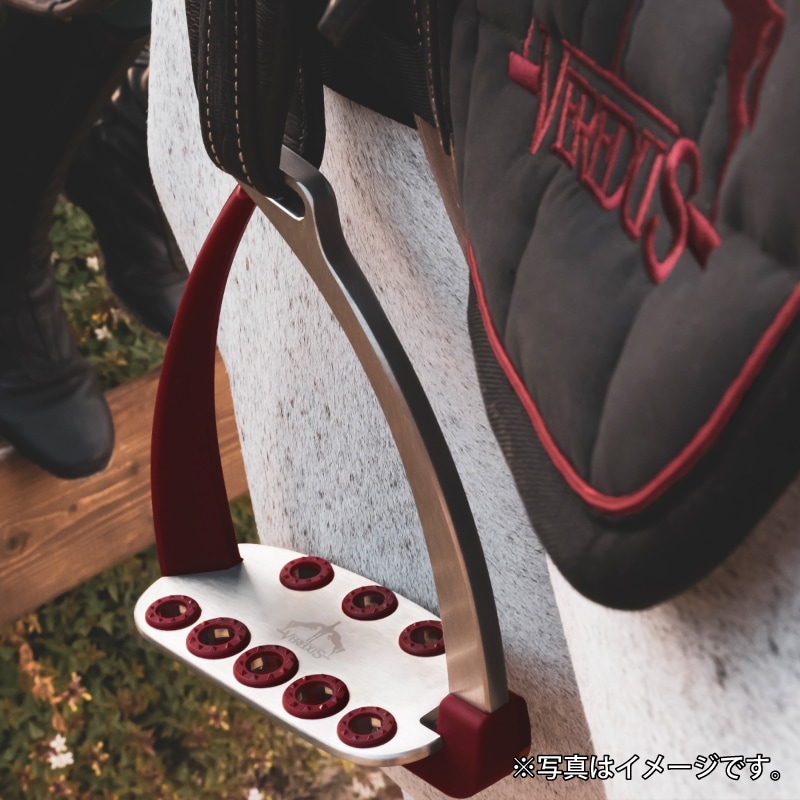 VEREDUS�ʥ٥������ ������ ƪ