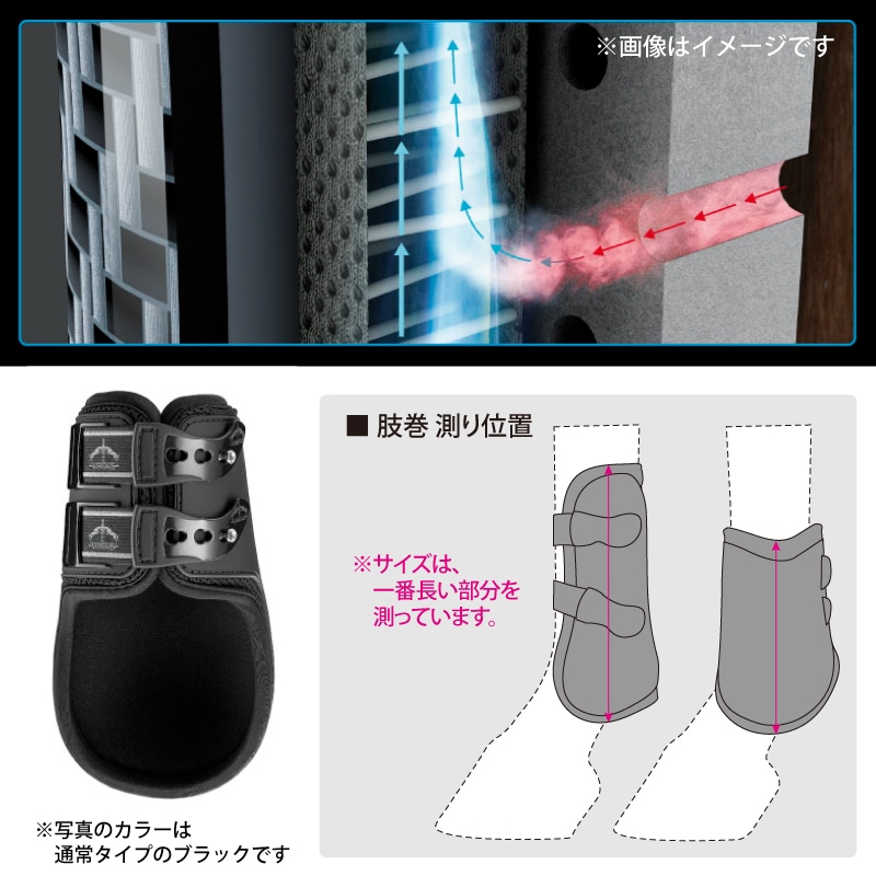 VEREDUS�ʥ٥������ �����ܥ󥲥�٥�� ���顼���ǥ������ �֥�å� ���