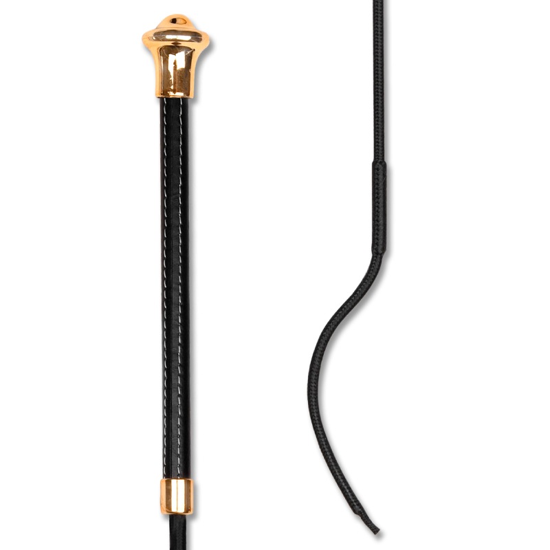 AW14117 �Υ֥�å� Ĺ��