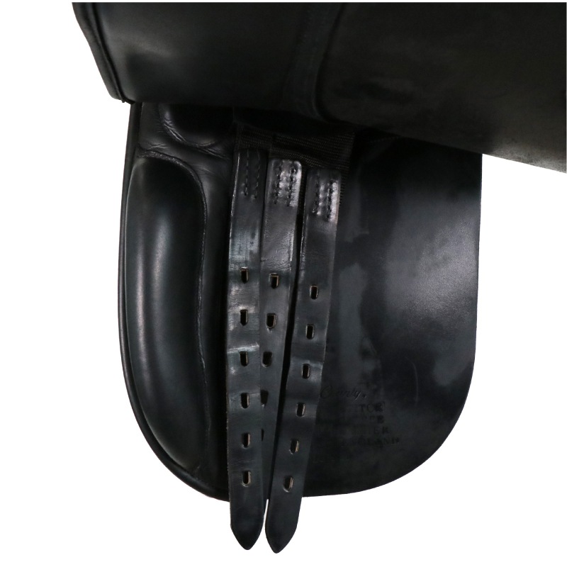 ������ʡۥ�����ƥ��ȡ��֥�å���16.5����������ʸ¤�