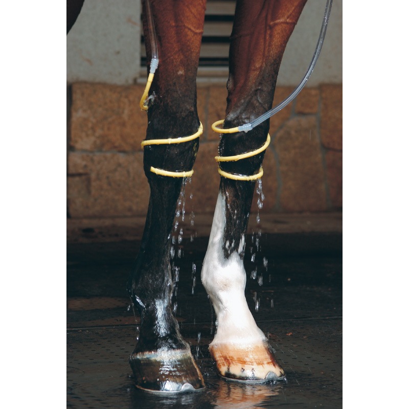 ��å���������