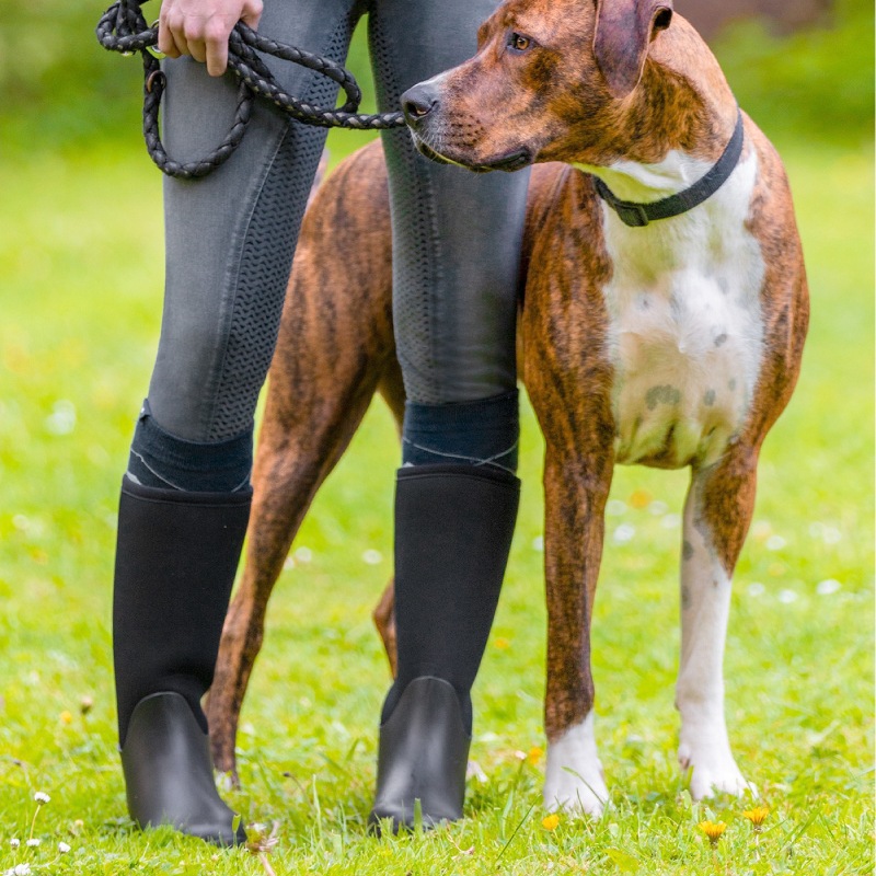 AW �ҥ塼���ȥ� �����륦�������֡���