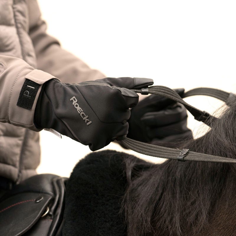 ��P���å��оݡ�Roeckl�ʥ��å���� �������� #051 Wheaton