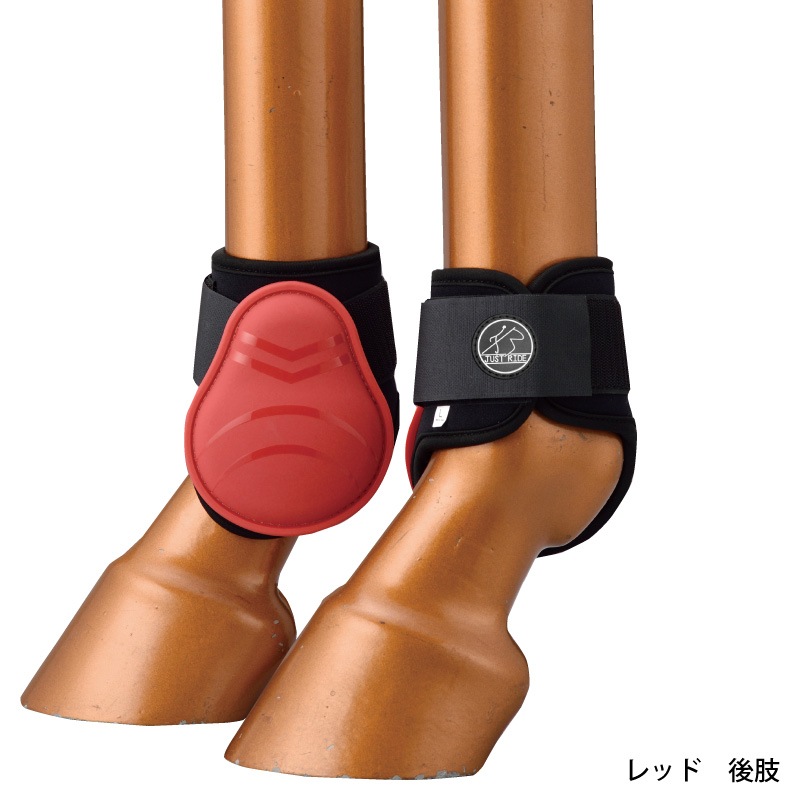 JUST RIDEʥ㥹ȥ饤ɡ Υ ۡ֡