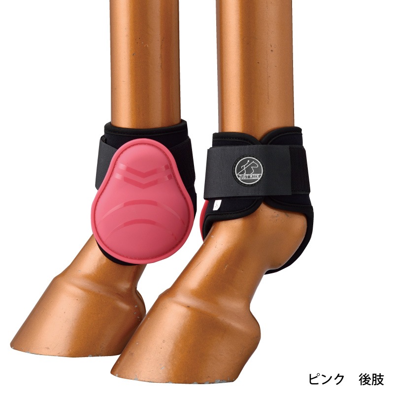 JUST RIDEʥ㥹ȥ饤ɡ Υ ۡ֡