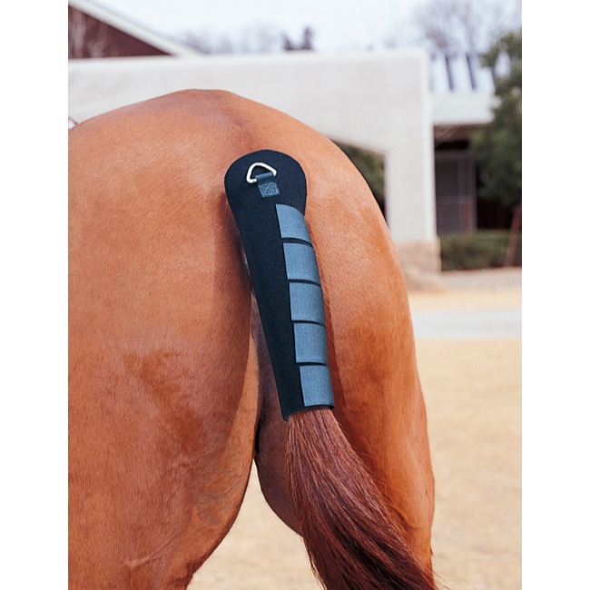 �ͥ��ץ졼��ơ��륬����