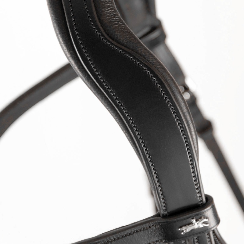 �ڥ����ȥ�å��оݾ��� 30��SCHOCKEMOHLE�ʥ���å��ߥ塼��� ���������� ����� ����Ƭ��