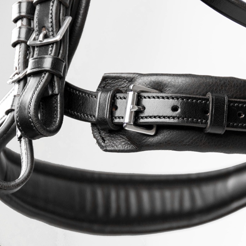 �ڥ����ȥ�å��оݾ��� 30��SCHOCKEMOHLE�ʥ���å��ߥ塼��� ���������� ����� ����Ƭ��