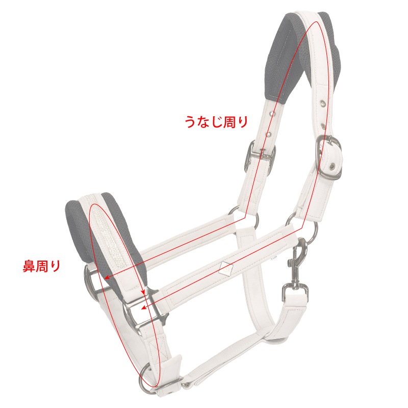 IMPERIAL RIDING�ʥ���ڥꥢ��饤�ǥ��󥰡� ���奨���å��� ̵�����ȼꥻ�å�