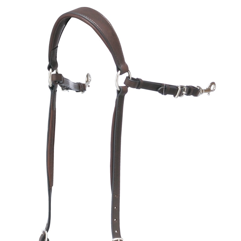 Amerigo�ʥ���ꥴ�� ����ӥ͡�����󶻥���