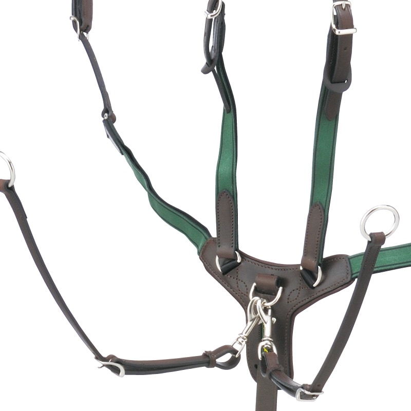 Amerigo�ʥ���ꥴ�� ����ӥ͡�����󶻥���