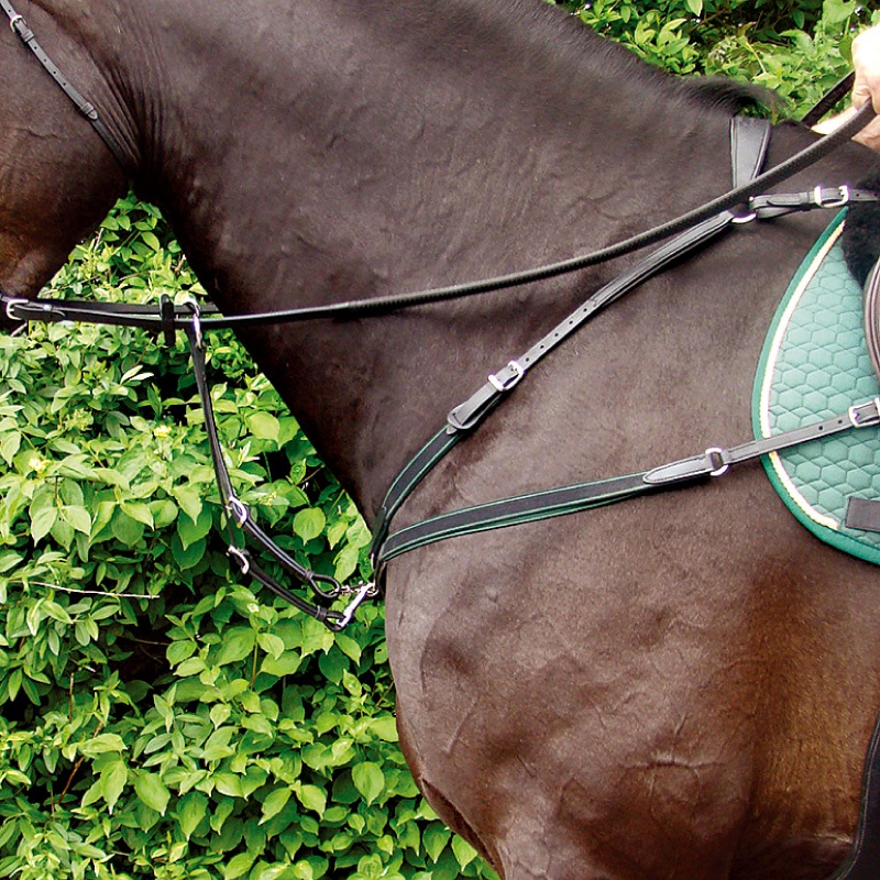 Amerigo�ʥ���ꥴ�� ����ӥ͡�����󶻥���