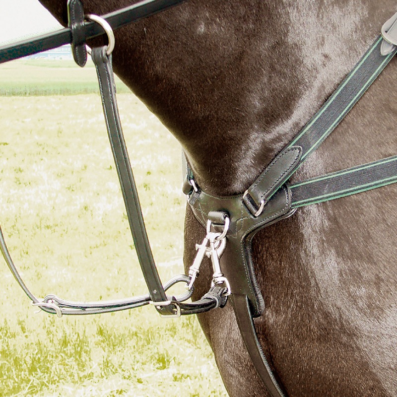 Amerigo�ʥ���ꥴ�� ����ӥ͡�����󶻥���