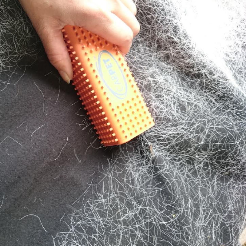 CARPET֥󥱥åȥ꡼ʡ 