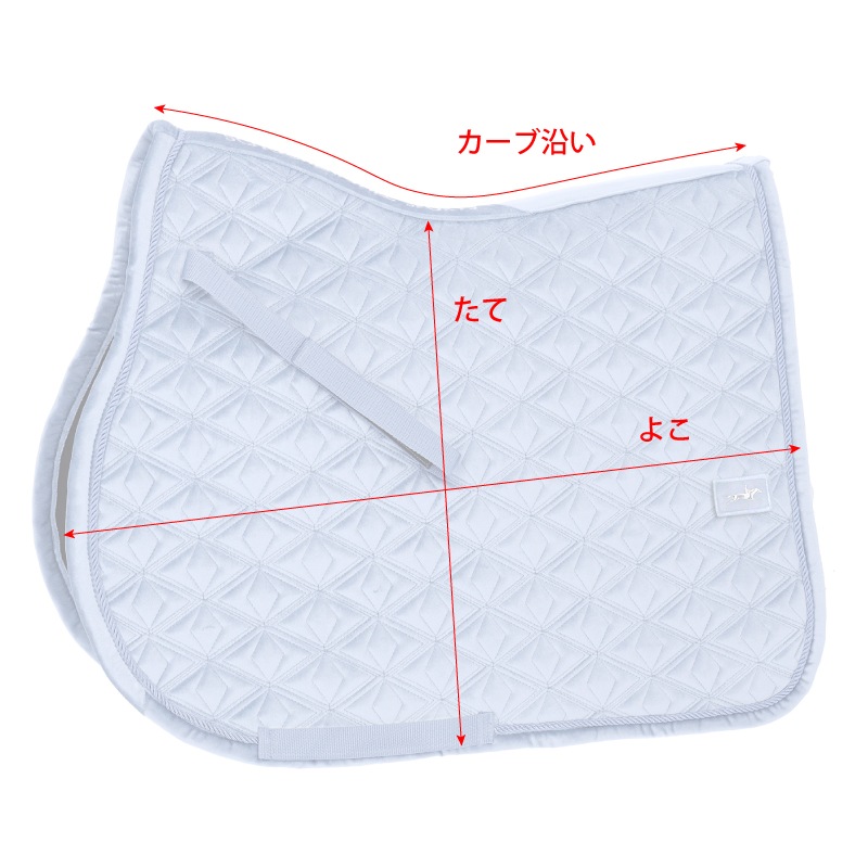 ڿեSCHOCKEMOHLEʥåߥ塼 ٥٥å å