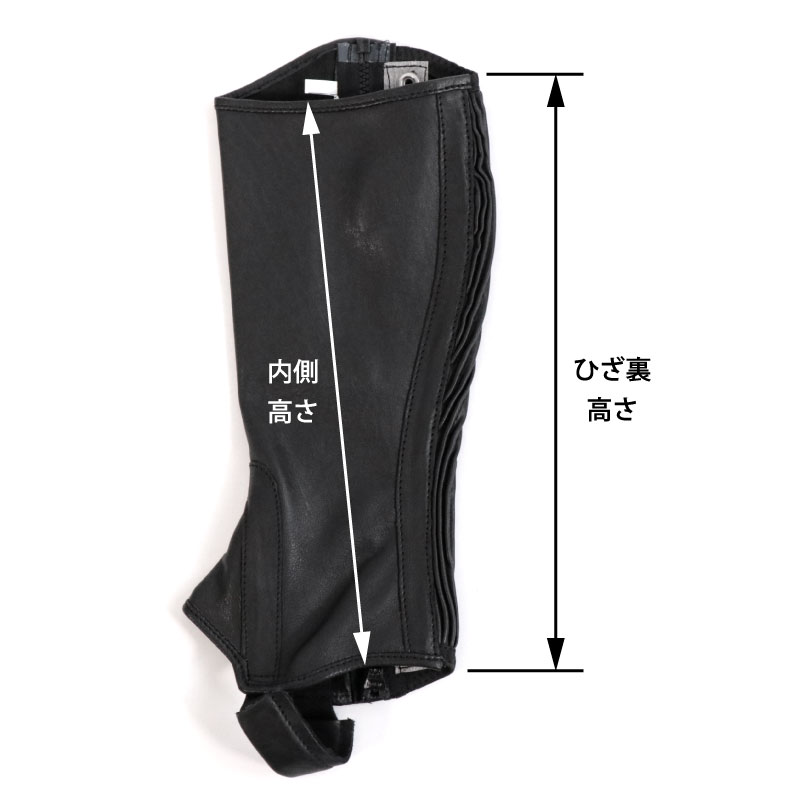 ����ǥ��� ����åץ�