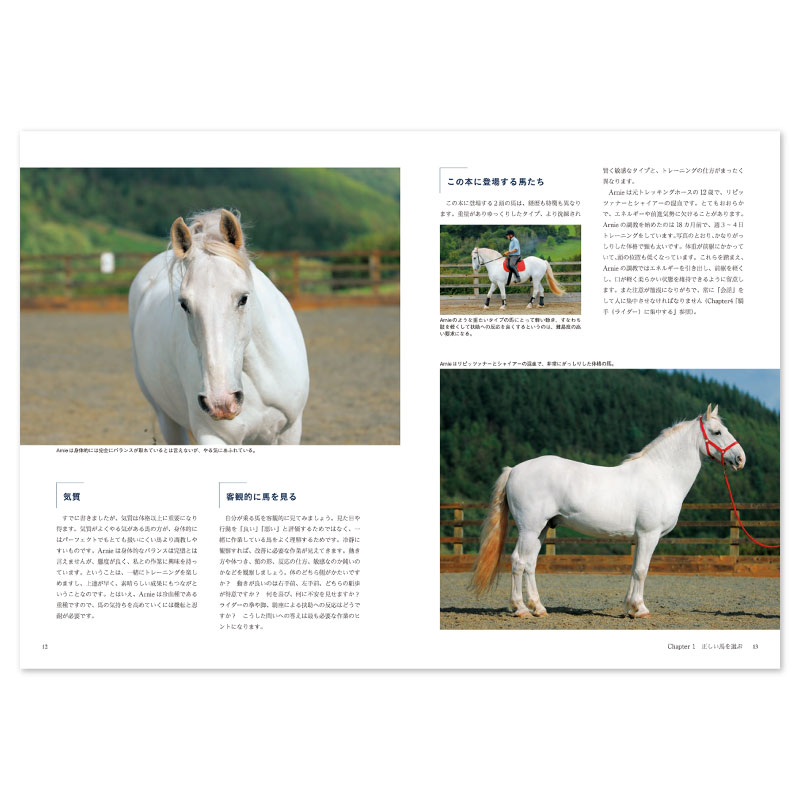 �Ϥȿͤ�嫤򿼤����Ͻ�