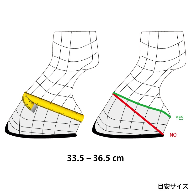 VEREDUS�ʥ٥������ �����եƥ����٥� �饤�� ���顼���ǥ������
