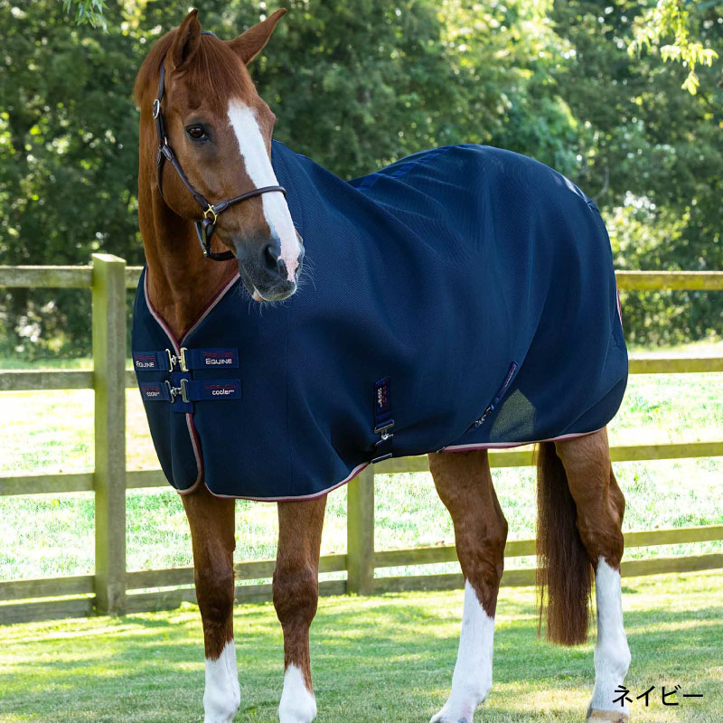 PREMIER EQUINE�ʥץ�ߥ���������� �����ե��� �����顼�饰