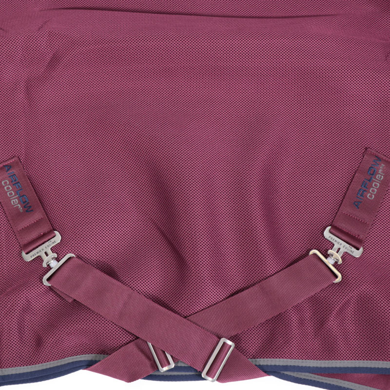 PREMIER EQUINE�ʥץ�ߥ���������� �����ե��� �����顼�饰