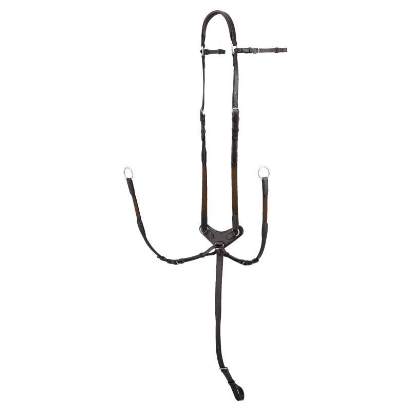 Amerigo�ʥ���ꥴ�� �٥��ץå� �ϥ�ƥ��󥰶�����