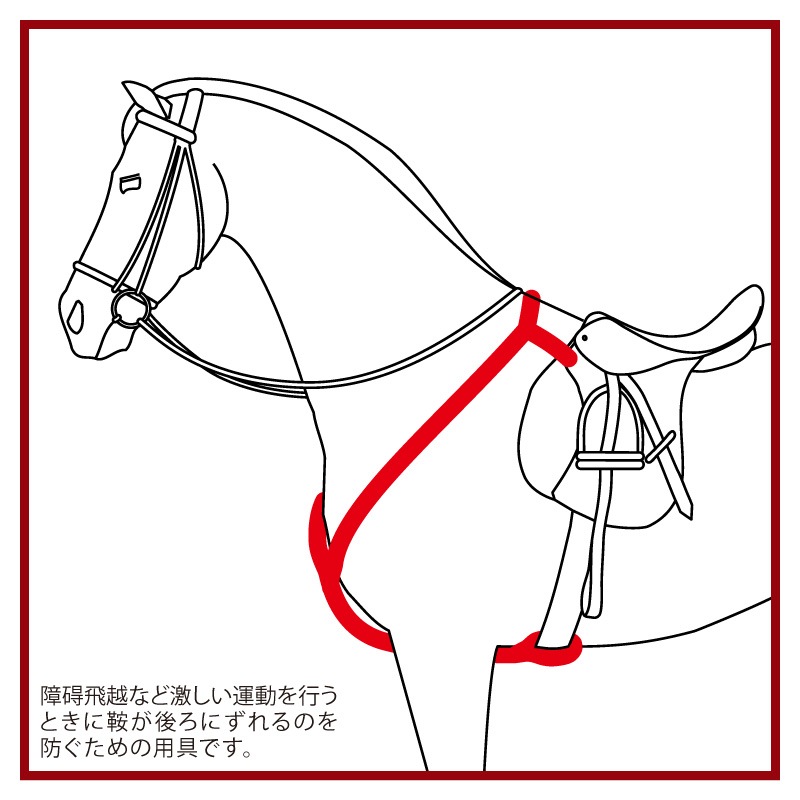 Amerigo�ʥ���ꥴ�� �٥��ץå� �ϥ�ƥ��󥰶�����