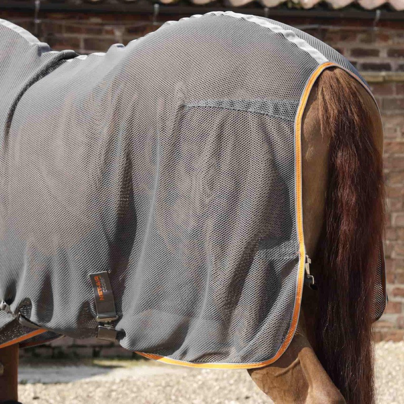 PREMIER EQUINE�ʥץ�ߥ���������� �ͥåȥ��� �����顼�饰