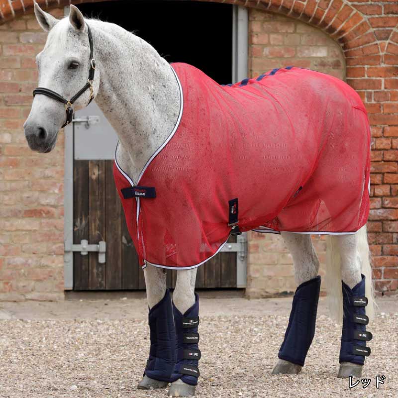 PREMIER EQUINE�ʥץ�ߥ���������� �ͥåȥ��� �����顼�饰