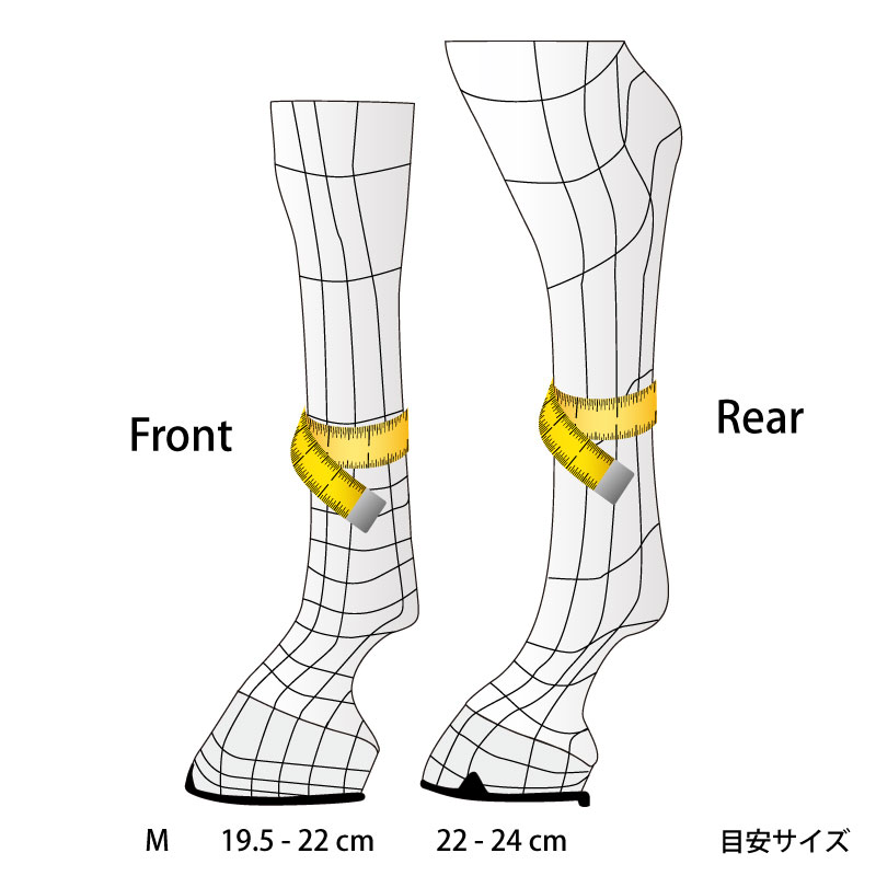 VEREDUS�ʥ٥������ �����ԥå��٥�� ���顼���ǥ������ ���