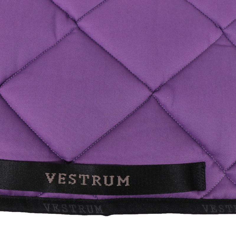 ��P���å��оݡ�VESTRUM�ʥ������ȥ��� �٥å顼���� ���å���