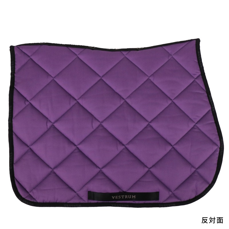 ��P���å��оݡ�VESTRUM�ʥ������ȥ��� �٥å顼���� ���å���