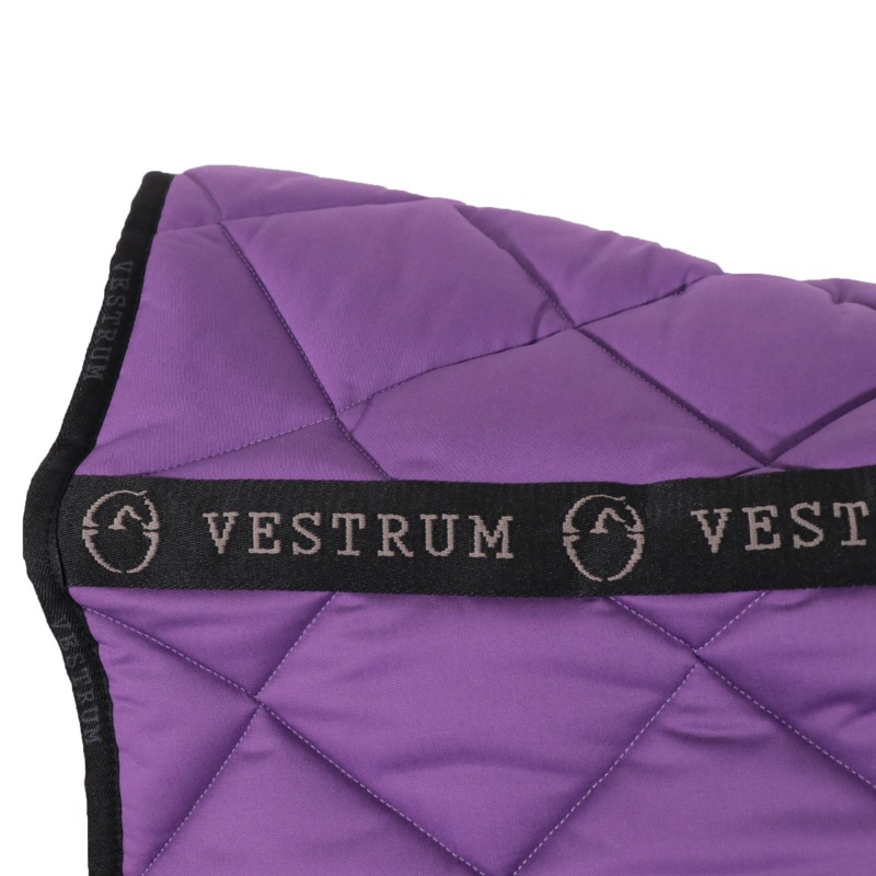 ��P���å��оݡ�VESTRUM�ʥ������ȥ��� �٥å顼���� ���å���