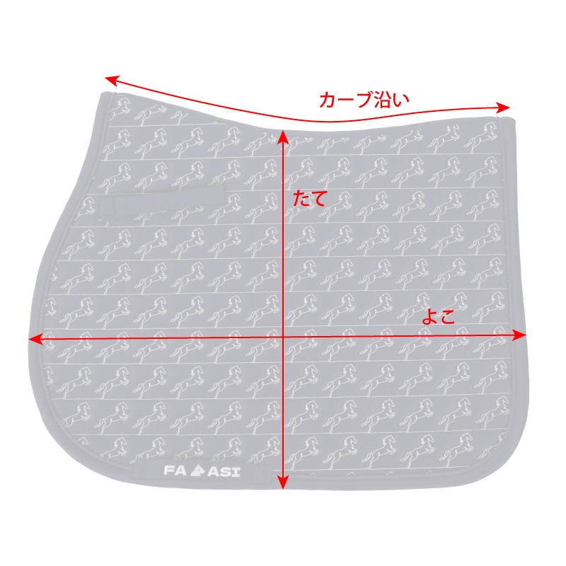 FARASI�ʥե��饷�� �ӥ� ���å���