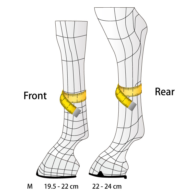 VEREDUS�ʥ٥������ �����ԥå��٥�� ���顼���ǥ������ ����