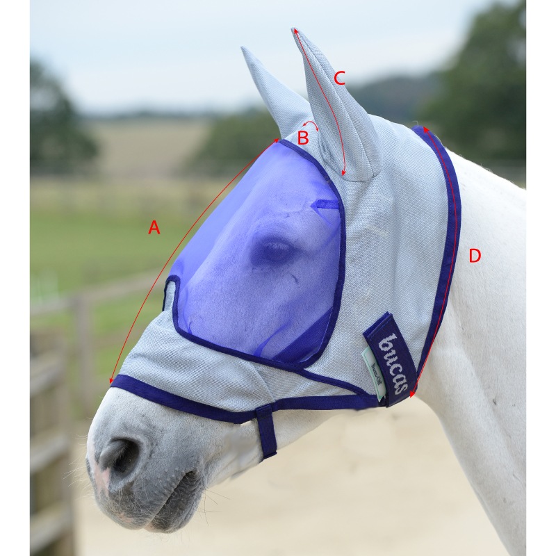 �ڿ���ե�����Bucas�ʥӥ塼������ �Х����գģ� ���䡼�եե饤�ޥ���