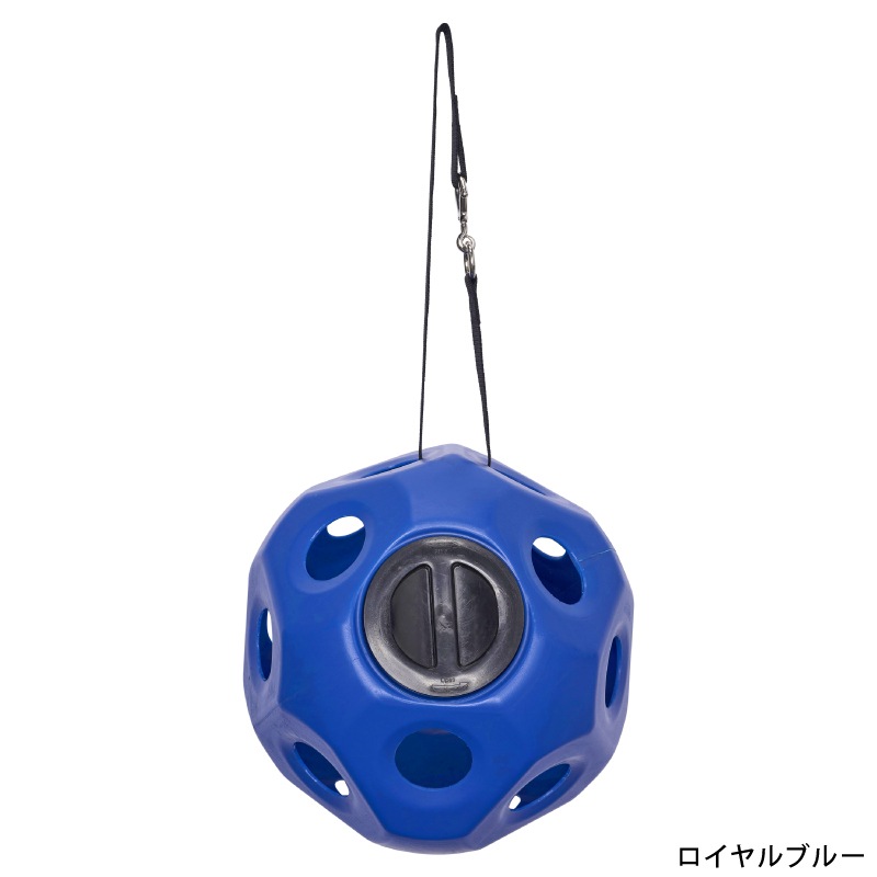 IMPERIAL RIDING�ʥ���ڥꥢ��饤�ǥ��󥰡� �ƥ������åȥ��������������ե�������