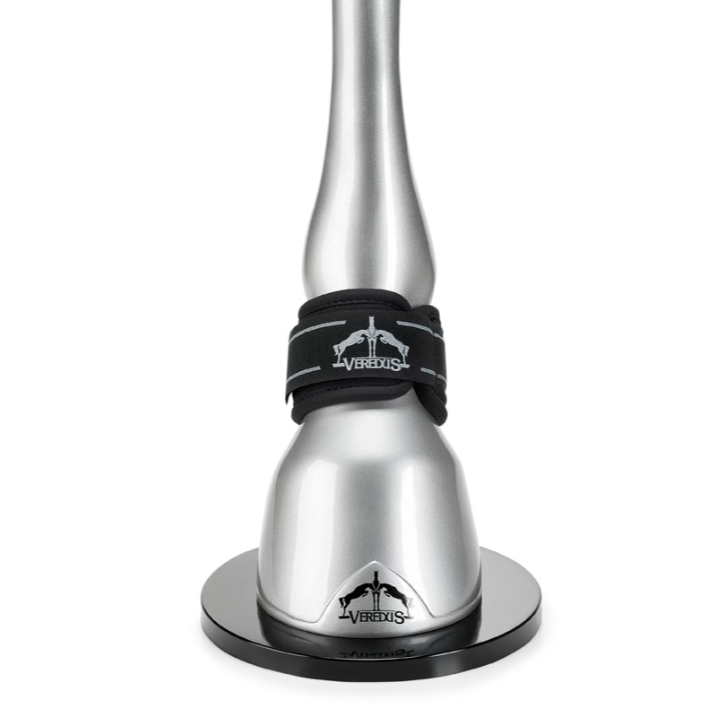 VEREDUS�ʥ٥������ �ץ���å�