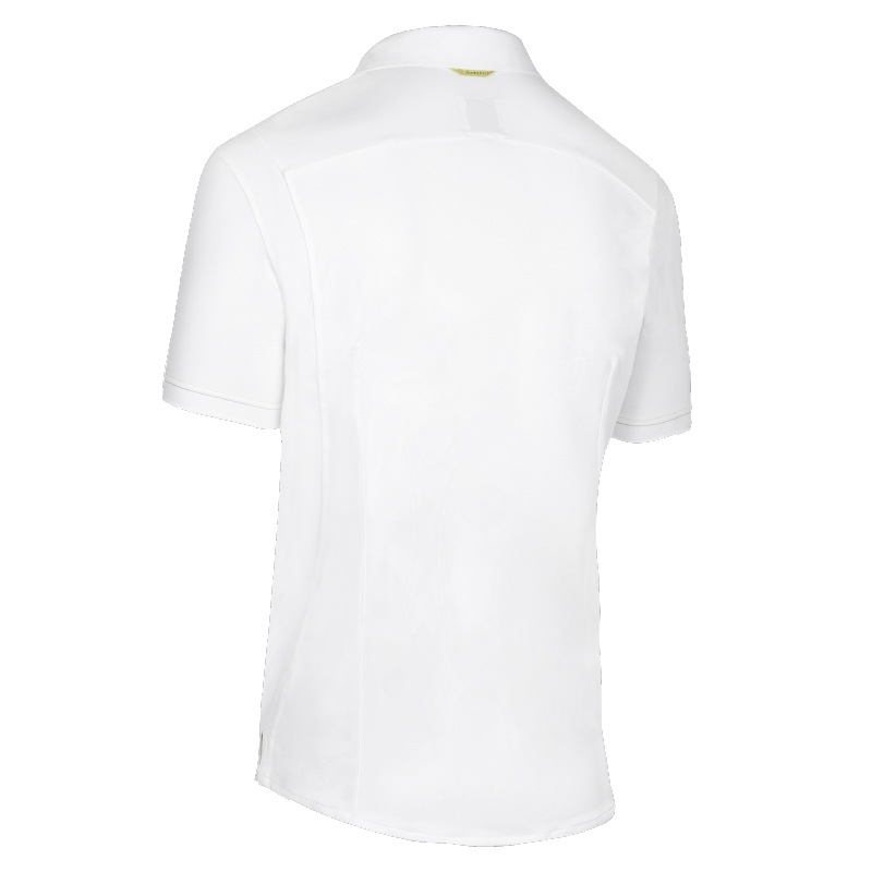 Samshieldʥॷɡ 㡼륺 硼 