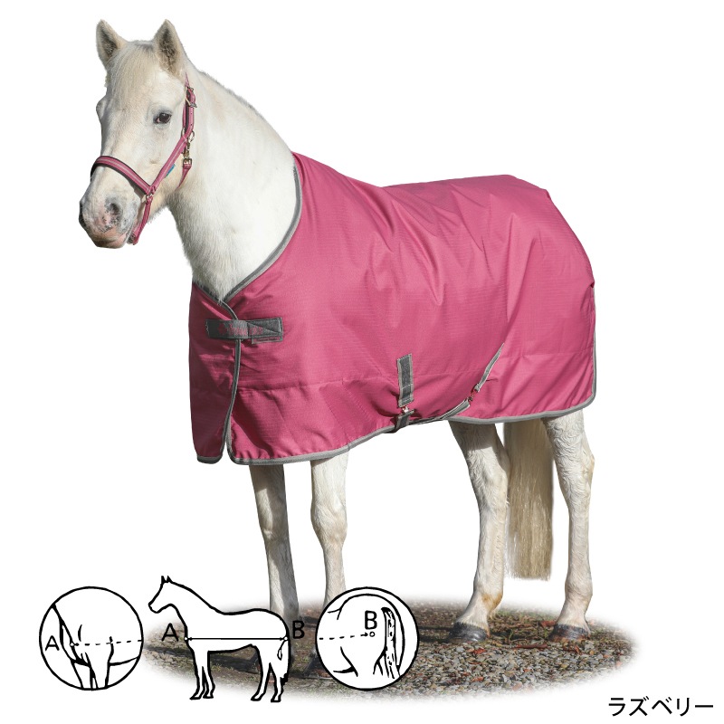 ڿեBucasʥӥ塼 ե꡼ॹơ֥롡300g