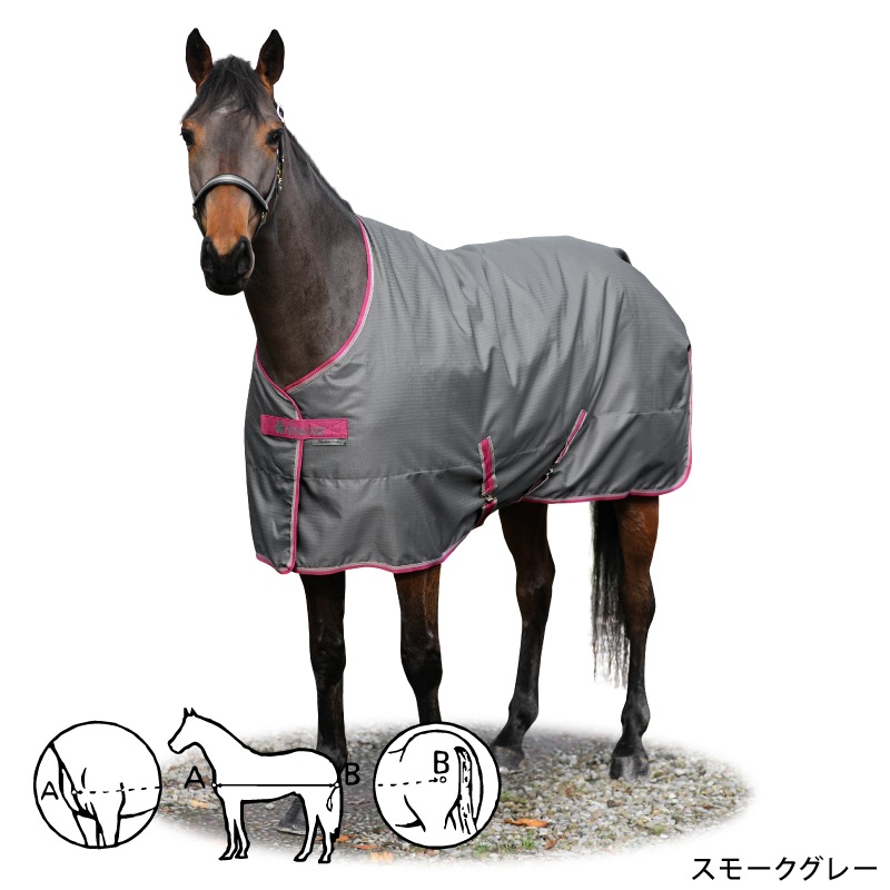 ڿեBucasʥӥ塼 ե꡼ॹơ֥롡300g