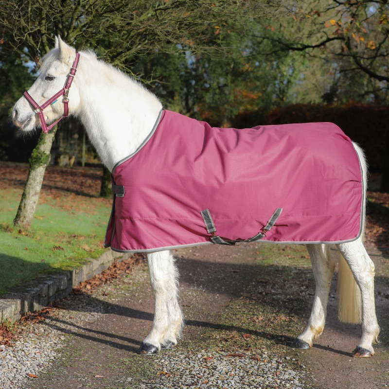 ڿեBucasʥӥ塼 ե꡼ॹơ֥롡300g