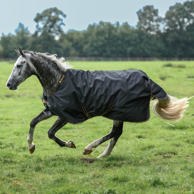 ڿեBucasʥӥ塼 å 󥢥ȡ150g