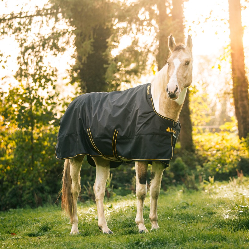 ڿեBucasʥӥ塼 å 󥢥ȡ150g